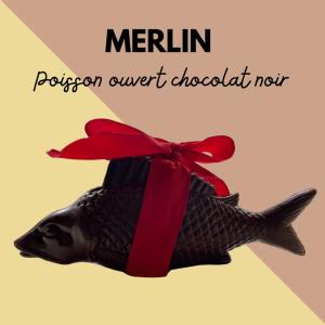 MERLIN LE POISSON OUVERT NOIR 