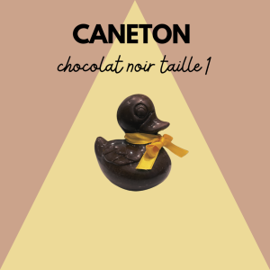 LE CANETON NOIR (S)