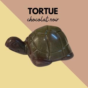 LA TORTUE NOIR