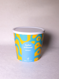 SORBET MANGUE
