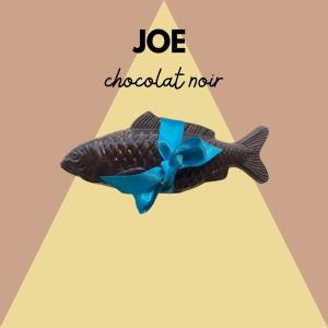 JOE LE POISSON NOIR ( L )