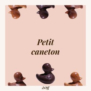 LE CANETON NOIR (S)