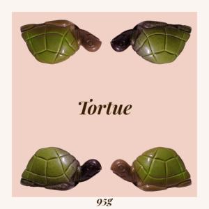 LA TORTUE NOIR
