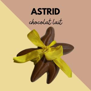 ASTRID L'ETOILE DE MER  LAIT