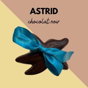 ASTRID L'ETOILE DE MER NOIR