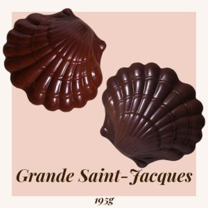 CHLOE LA SAINT JACQUES LAIT M