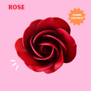 LA ROSE ÉTERNELLE