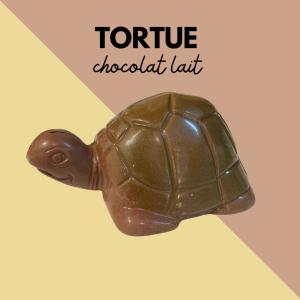 LA TORTUE LAIT 