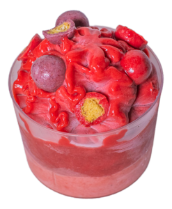 VERRINES GLACÉES FRUITS ROUGES