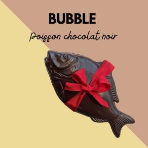 BUBBLE LE POISSON PLAT NOIR