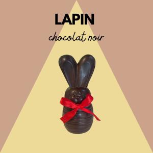 LE LAPIN NOIR