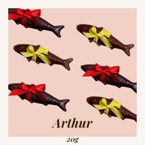 ARTHUR LE POISSON NOIR ( S )