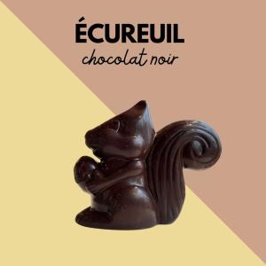 L'ECUREUIL NOIR
