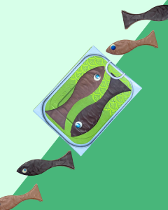 COFFRET 6 SARDINES LAIT ET NOIR